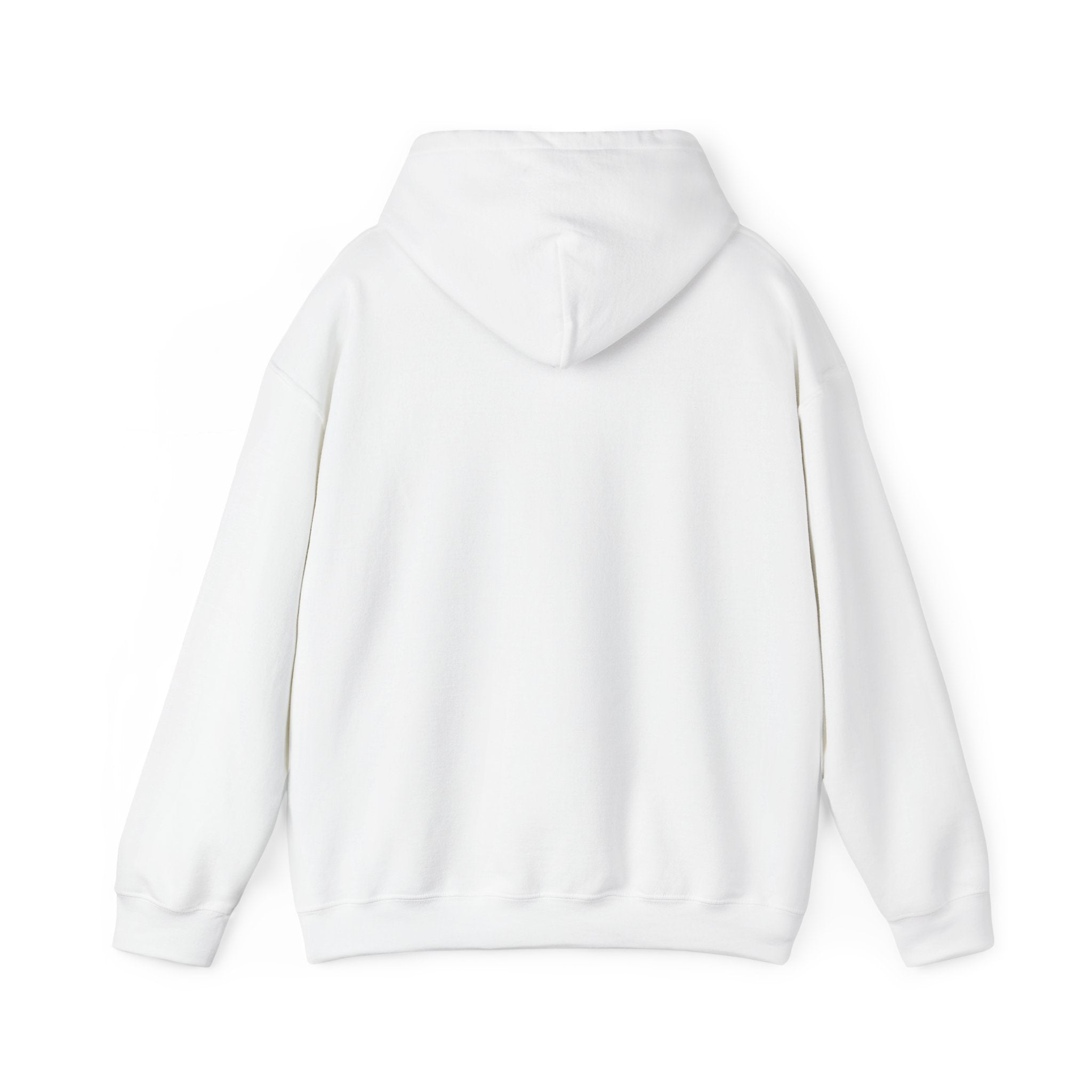 Race Day Hoodie — Racing Flag Graphic Hooded Sweatshirt