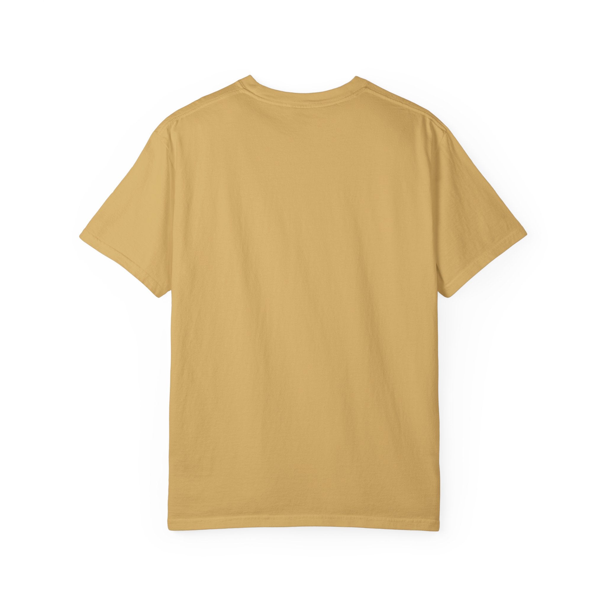 Get In Loser Noah's Ark Graphic T-Shirt — "It's About to Rain" Vintage Rescue Tee
