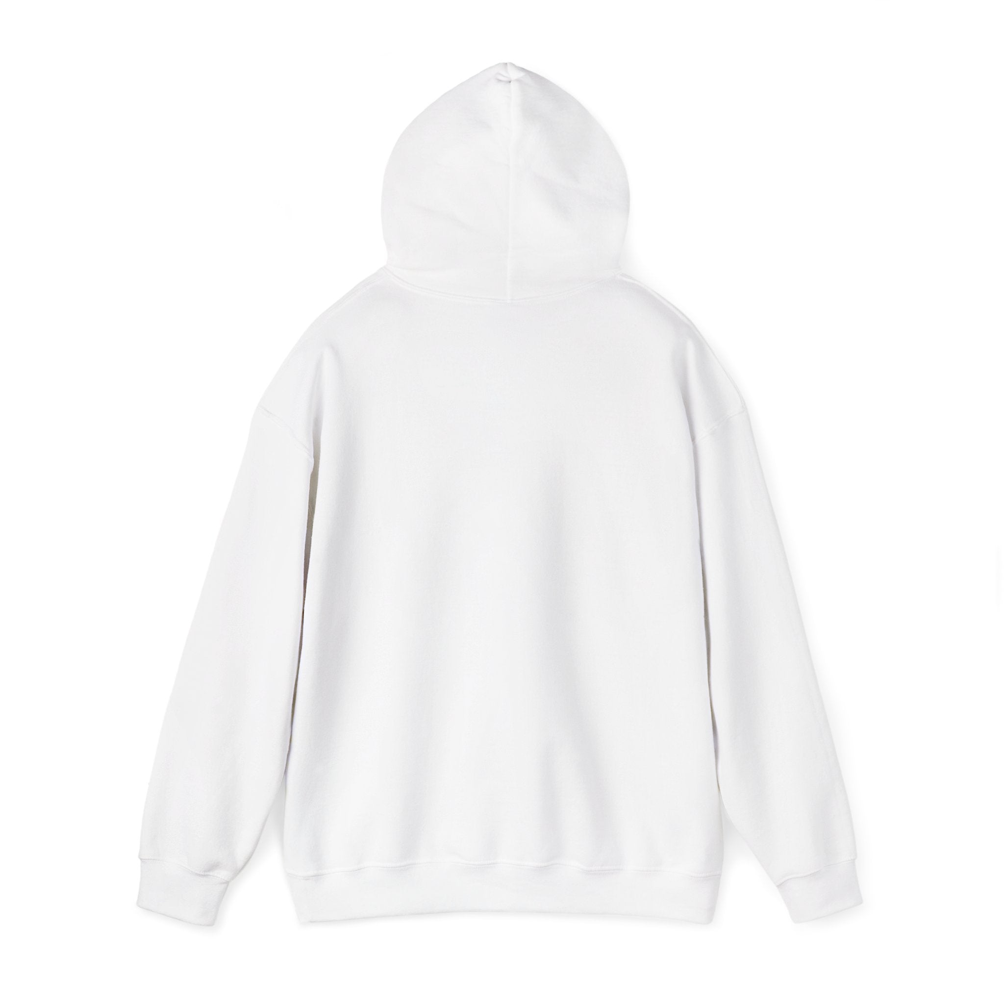 Race Day Hoodie — Racing Flag Graphic Hooded Sweatshirt